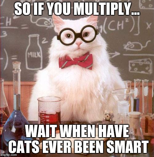 Science Cat | SO IF YOU MULTIPLY... WAIT WHEN HAVE CATS EVER BEEN SMART | image tagged in science cat | made w/ Imgflip meme maker