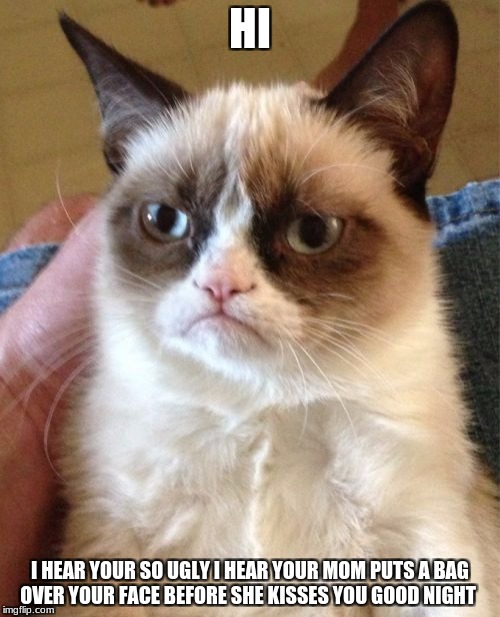 Grumpy Cat Meme | HI; I HEAR YOUR SO UGLY I HEAR YOUR MOM PUTS A BAG OVER YOUR FACE BEFORE SHE KISSES YOU GOOD NIGHT | image tagged in memes,grumpy cat | made w/ Imgflip meme maker