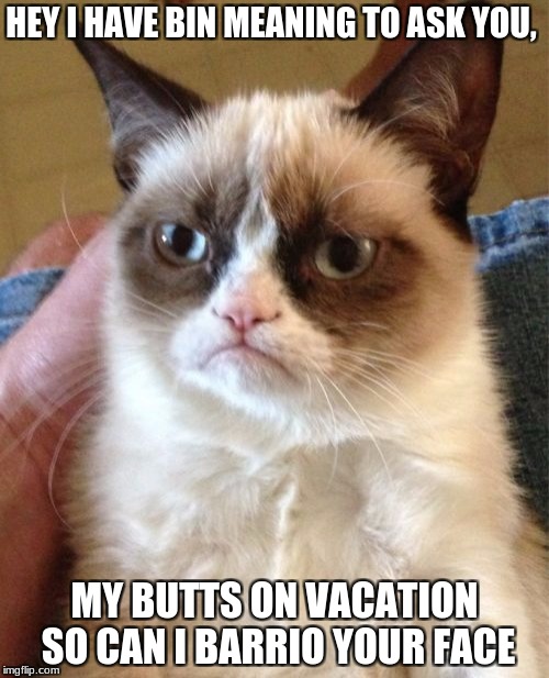 Grumpy Cat Meme | HEY I HAVE BIN MEANING TO ASK YOU, MY BUTTS ON VACATION SO CAN I BARRIO YOUR FACE | image tagged in memes,grumpy cat | made w/ Imgflip meme maker