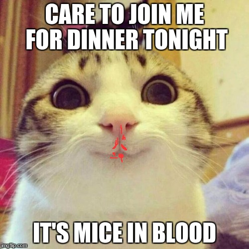 Smiling Cat Meme | CARE TO JOIN ME FOR DINNER TONIGHT; IT'S MICE IN BLOOD | image tagged in memes,smiling cat | made w/ Imgflip meme maker