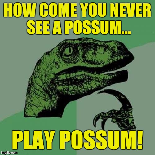 Philosoraptor Meme | HOW COME YOU NEVER SEE A POSSUM... PLAY POSSUM! | image tagged in memes,philosoraptor | made w/ Imgflip meme maker