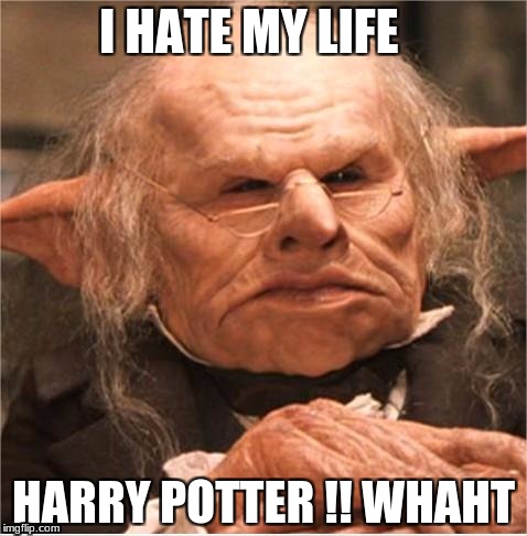 harry potter goblin | I HATE MY LIFE; HARRY POTTER !! WHAHT | image tagged in harry potter goblin | made w/ Imgflip meme maker