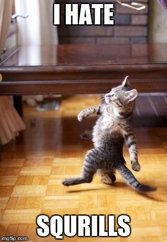 Cool Cat Stroll | I HATE; SQURILLS | image tagged in memes,cool cat stroll | made w/ Imgflip meme maker