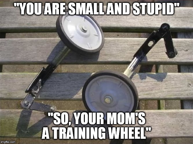 training wheels | "YOU ARE SMALL AND STUPID"; "SO, YOUR MOM'S A TRAINING WHEEL" | image tagged in training wheels | made w/ Imgflip meme maker