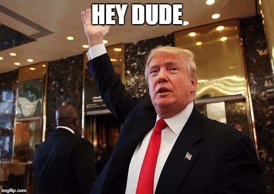 Trump catch | HEY DUDE | image tagged in trump catch | made w/ Imgflip meme maker