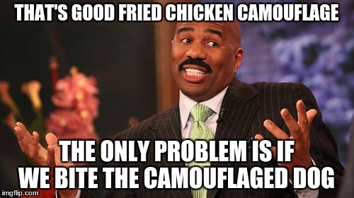 Steve Harvey Meme | THAT'S GOOD FRIED CHICKEN CAMOUFLAGE THE ONLY PROBLEM IS IF WE BITE THE CAMOUFLAGED DOG | image tagged in memes,steve harvey | made w/ Imgflip meme maker