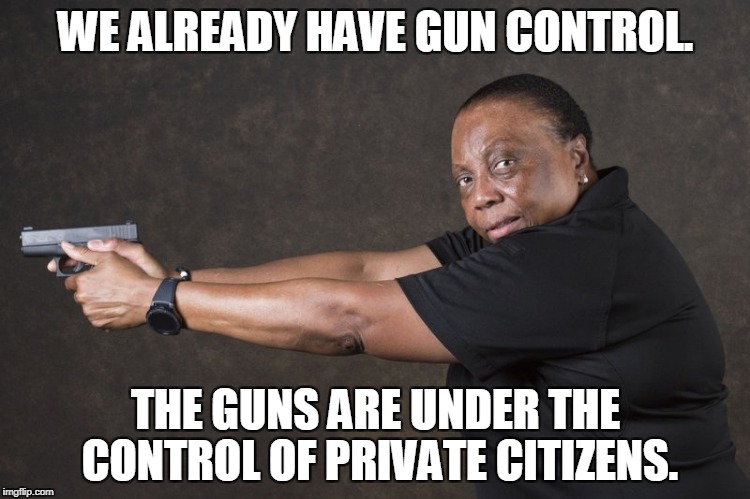 Don't worry! | WE ALREADY HAVE GUN CONTROL. THE GUNS ARE UNDER THE CONTROL OF PRIVATE CITIZENS. | image tagged in guns | made w/ Imgflip meme maker