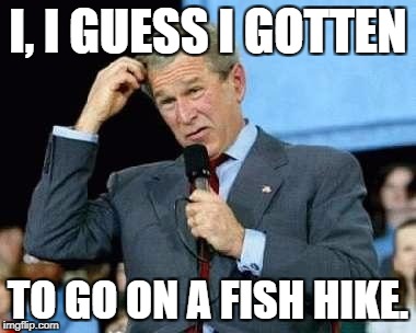 Or was it Jeb? | I, I GUESS I GOTTEN; TO GO ON A FISH HIKE. | image tagged in the mean,georgey bushey,a dork of a dork meme | made w/ Imgflip meme maker