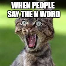 Scared Cat | WHEN PEOPLE SAY THE N WORD | image tagged in scared cat | made w/ Imgflip meme maker