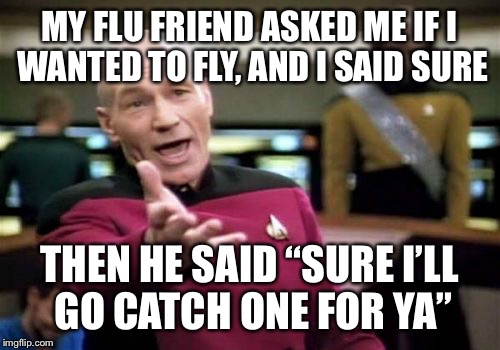 Let me say this should be Logic #3.. | MY FLU FRIEND ASKED ME IF I WANTED TO FLY, AND I SAID SURE; THEN HE SAID “SURE I’LL GO CATCH ONE FOR YA” | image tagged in memes,picard wtf,butterfly,fly,logic | made w/ Imgflip meme maker