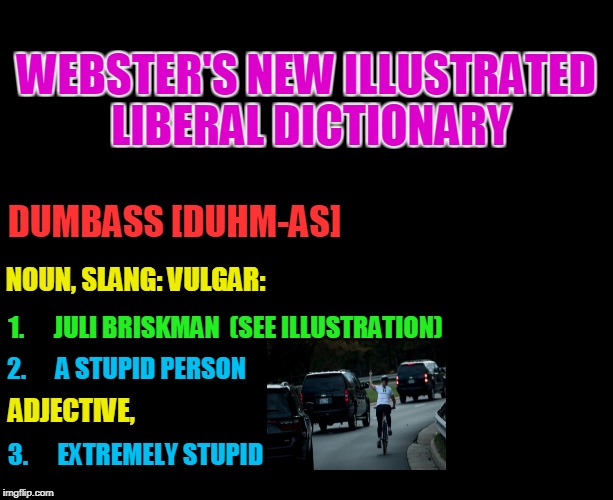 DUMBASS
[DUHM-AS] 1.      JULI BRISKMAN  (SEE ILLUSTRATION) NOUN, SLANG: VULGAR: WEBSTER'S NEW ILLUSTRATED LIBERAL DICTIONARY 2.      A STUP | made w/ Imgflip meme maker