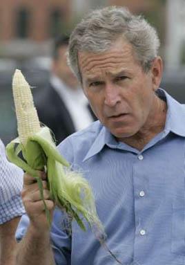 Bush Corn  Blank Meme Template