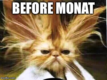 bad hair day | BEFORE MONAT | image tagged in bad hair day | made w/ Imgflip meme maker