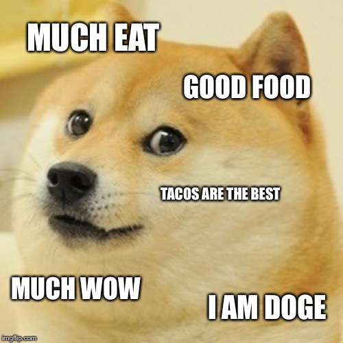 Doge | MUCH EAT; GOOD FOOD; TACOS ARE THE BEST; MUCH WOW; I AM DOGE | image tagged in memes,doge | made w/ Imgflip meme maker