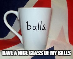 HAVE A NICE GLASS OF MY BALLS | image tagged in balls | made w/ Imgflip meme maker