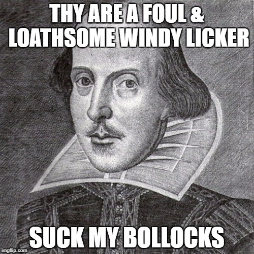 THY ARE A FOUL & LOATHSOME WINDY LICKER SUCK MY BOLLOCKS | image tagged in even shakespeare thinks you're a queer | made w/ Imgflip meme maker