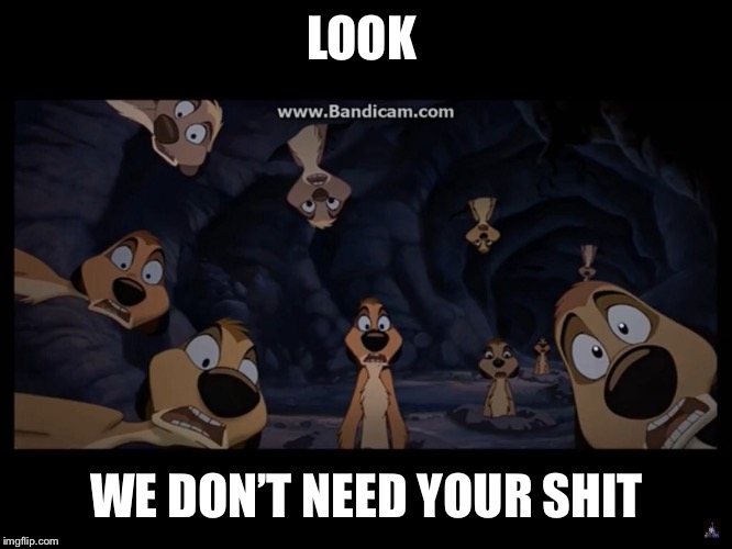 We really don’t. | LOOK; WE DON’T NEED YOUR SHIT | image tagged in lion king | made w/ Imgflip meme maker