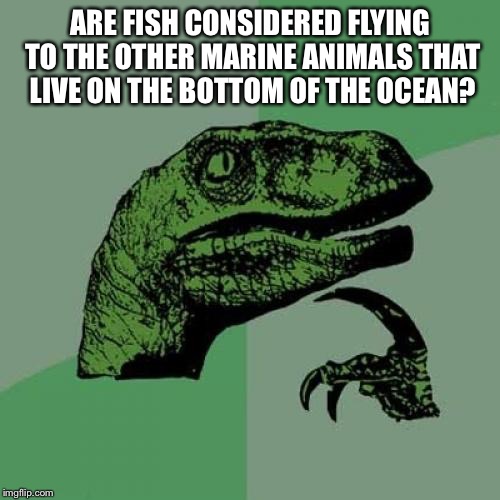 Philosoraptor | ARE FISH CONSIDERED FLYING TO THE OTHER MARINE ANIMALS THAT LIVE ON THE BOTTOM OF THE OCEAN? | image tagged in memes,philosoraptor | made w/ Imgflip meme maker