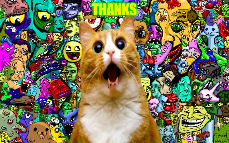 Shocked kitty | THANKS | image tagged in shocked kitty | made w/ Imgflip meme maker
