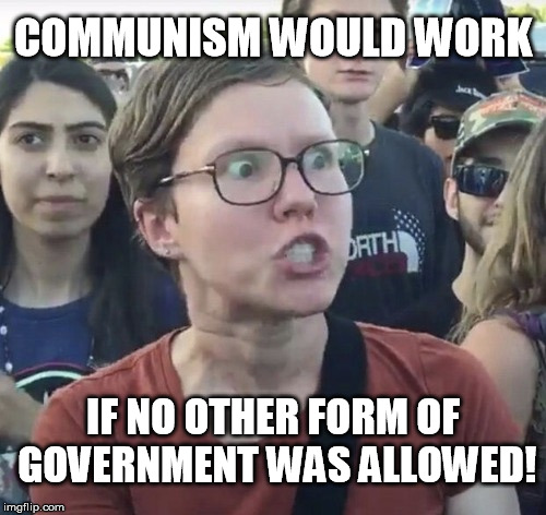 Triggered feminist | COMMUNISM WOULD WORK; IF NO OTHER FORM OF GOVERNMENT WAS ALLOWED! | image tagged in triggered feminist | made w/ Imgflip meme maker
