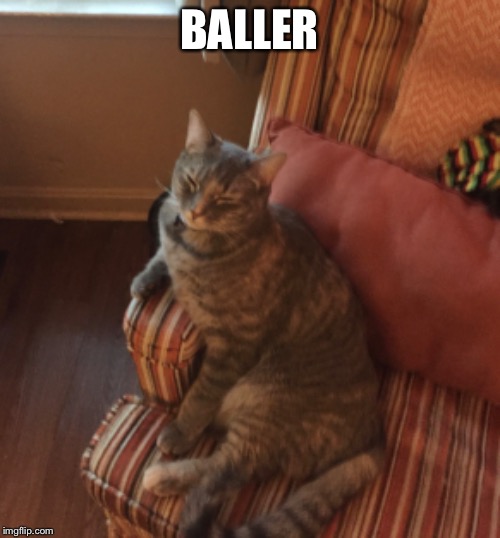 Chilling Kitty | BALLER | image tagged in funny cat memes,original meme,memes | made w/ Imgflip meme maker