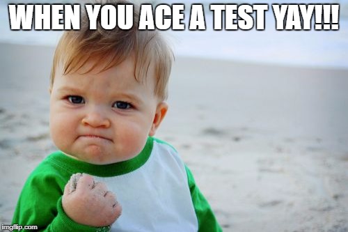 Success Kid Original | WHEN YOU ACE A TEST YAY!!! | image tagged in memes,success kid original | made w/ Imgflip meme maker