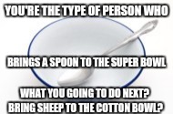 Super bowl meme by keylan richardson. | YOU'RE THE TYPE OF PERSON WHO; BRINGS A SPOON TO THE SUPER BOWL; WHAT YOU GOING TO DO NEXT? BRING SHEEP TO THE COTTON BOWL? | image tagged in super bowl meme by keylan richardson | made w/ Imgflip meme maker