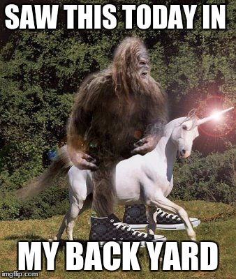 Sasquatch Unicorn | SAW THIS TODAY IN; MY BACK YARD | image tagged in sasquatch unicorn | made w/ Imgflip meme maker