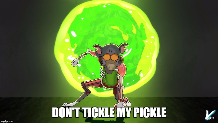 DON'T TICKLE MY PICKLE | image tagged in pickle rick | made w/ Imgflip meme maker