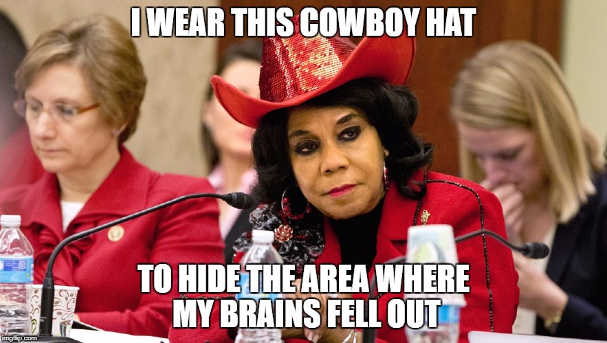 Frederica Wilson | I WEAR THIS COWBOY HAT; TO HIDE THE AREA WHERE MY BRAINS FELL OUT | image tagged in frederica wilson,democrat,libtard | made w/ Imgflip meme maker