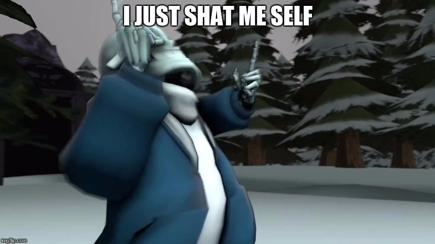 I JUST SHAT ME SELF | image tagged in sans undertale | made w/ Imgflip meme maker