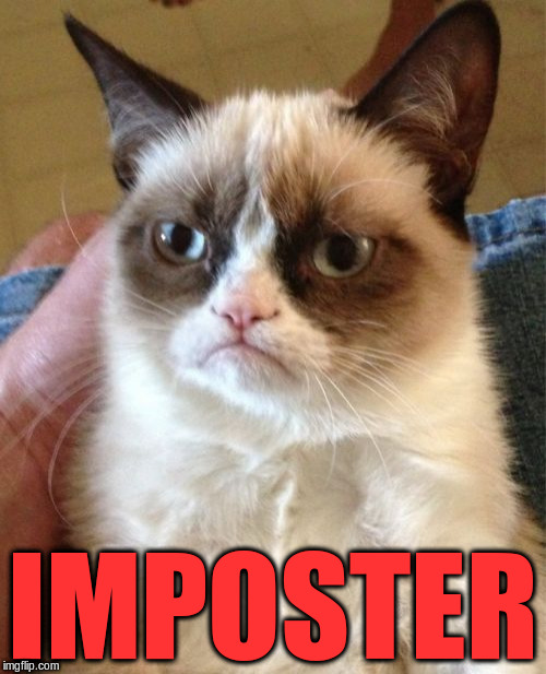 Grumpy Cat Meme | IMPOSTER | image tagged in memes,grumpy cat | made w/ Imgflip meme maker