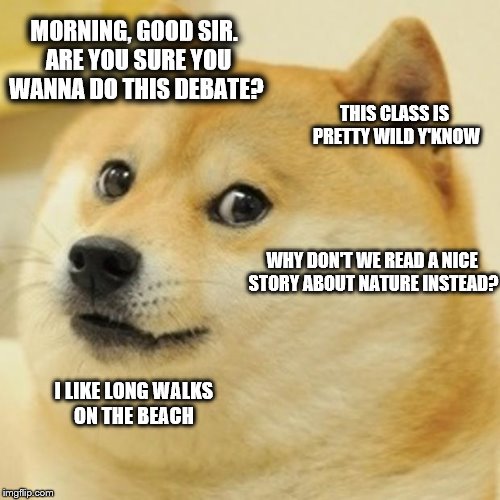 Doge | MORNING, GOOD SIR.  ARE YOU SURE YOU WANNA DO THIS DEBATE? THIS CLASS IS PRETTY WILD Y'KNOW; WHY DON'T WE READ A NICE STORY ABOUT NATURE INSTEAD? I LIKE LONG WALKS ON THE BEACH | image tagged in memes,doge | made w/ Imgflip meme maker