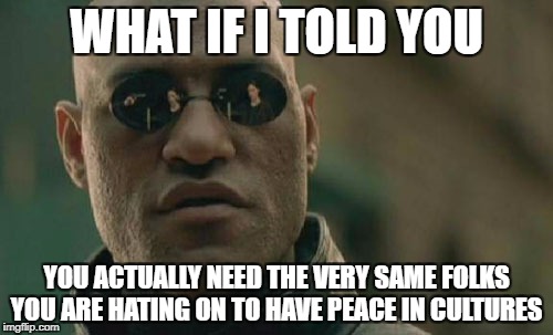 Matrix Morpheus Meme | WHAT IF I TOLD YOU; YOU ACTUALLY NEED THE VERY SAME FOLKS YOU ARE HATING ON TO HAVE PEACE IN CULTURES | image tagged in memes,matrix morpheus | made w/ Imgflip meme maker