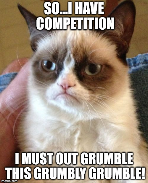 Grumpy Cat Meme | SO...I HAVE COMPETITION; I MUST OUT GRUMBLE THIS GRUMBLY GRUMBLE! | image tagged in memes,grumpy cat | made w/ Imgflip meme maker