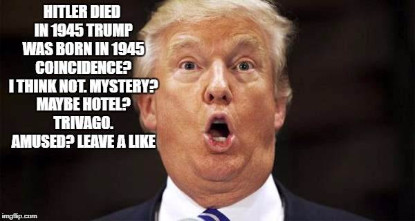 Hitler and Trump | HITLER DIED IN 1945 TRUMP WAS BORN IN 1945 COINCIDENCE? I THINK NOT. MYSTERY? MAYBE HOTEL? TRIVAGO. AMUSED? LEAVE A LIKE | image tagged in donald trump,hitler,coincidence,hotel | made w/ Imgflip meme maker