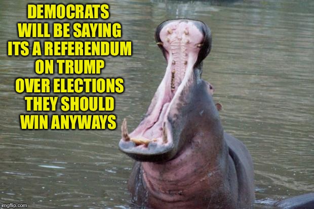 Hippo Mouth Open | DEMOCRATS WILL BE SAYING ITS A REFERENDUM ON TRUMP OVER ELECTIONS THEY SHOULD WIN ANYWAYS | image tagged in hippo mouth open | made w/ Imgflip meme maker