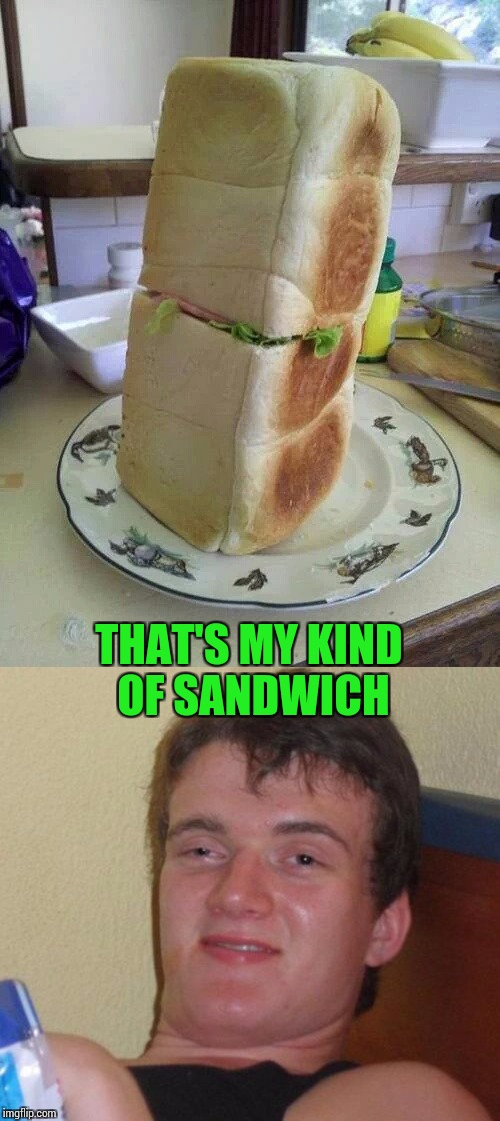 10 Guy's sandwich fetish, thanks to GotHighMadeAMeme | THAT'S MY KIND OF SANDWICH | image tagged in sandwich,10 guy,gothighmadeameme,pipe_picasso | made w/ Imgflip meme maker