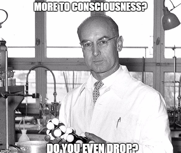 MORE TO CONSCIOUSNESS? DO YOU EVEN DROP? | made w/ Imgflip meme maker