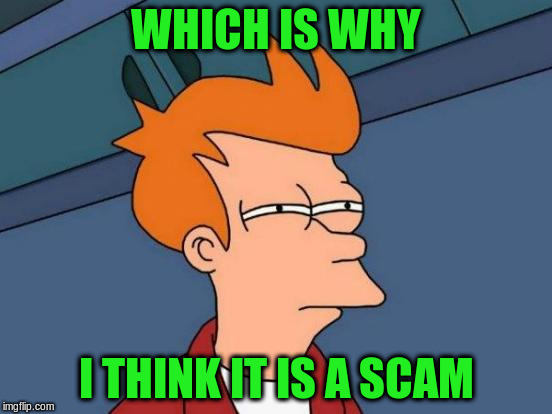 Futurama Fry Meme | WHICH IS WHY I THINK IT IS A SCAM | image tagged in memes,futurama fry | made w/ Imgflip meme maker