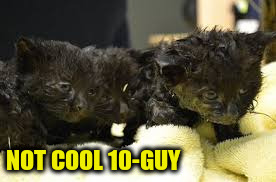 NOT COOL 10-GUY | made w/ Imgflip meme maker