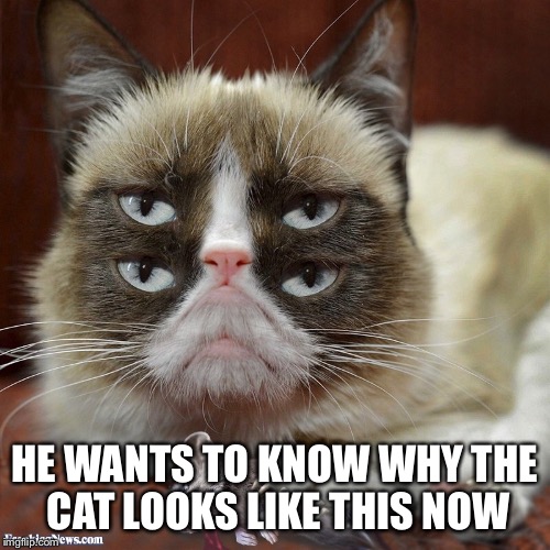 HE WANTS TO KNOW WHY THE CAT LOOKS LIKE THIS NOW | made w/ Imgflip meme maker