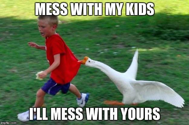 Petting zoo ducks | MESS WITH MY KIDS; I'LL MESS WITH YOURS | image tagged in angry duck,memes | made w/ Imgflip meme maker