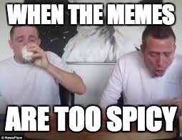 memes to spicy | WHEN THE MEMES; ARE TOO SPICY | image tagged in memes,spice | made w/ Imgflip meme maker