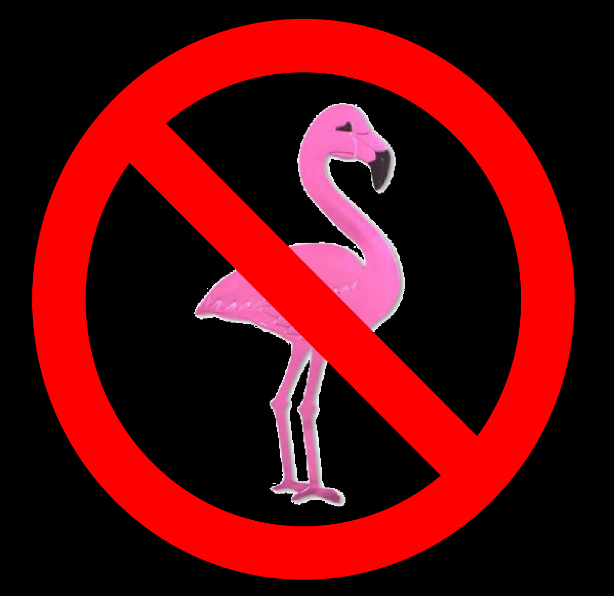 no flamingos Blank Meme Template