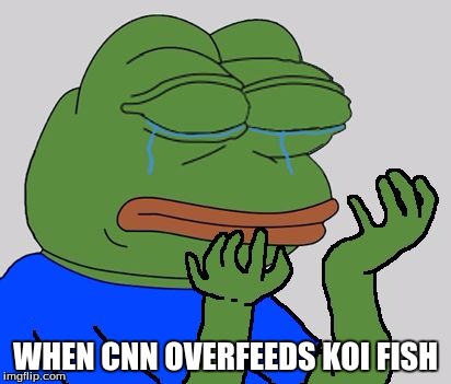 CNN: the koi fish massacre | WHEN CNN OVERFEEDS KOI FISH | image tagged in pepe cry | made w/ Imgflip meme maker