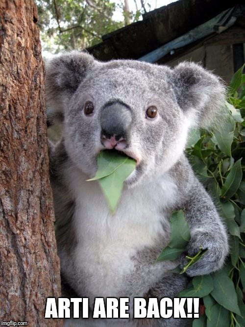 Surprised Koala Meme | ARTI ARE BACK!! | image tagged in memes,surprised koala | made w/ Imgflip meme maker