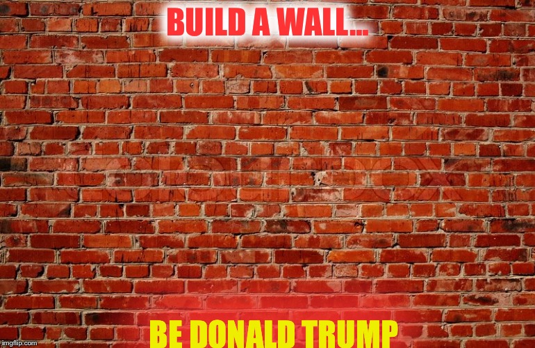 Trumper | BUILD A WALL…; BE DONALD TRUMP | image tagged in memes,donald trump | made w/ Imgflip meme maker