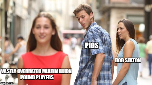 PIGS; VASTLY OVERRATED MULTIMILLION POUND PLAYERS; ROB STATON | made w/ Imgflip meme maker