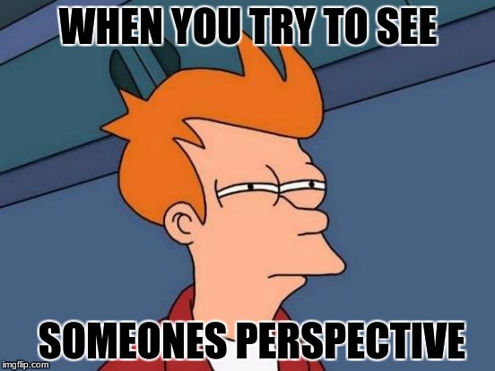 Futurama Fry Meme | WHEN YOU TRY TO SEE; SOMEONES PERSPECTIVE | image tagged in memes,futurama fry | made w/ Imgflip meme maker